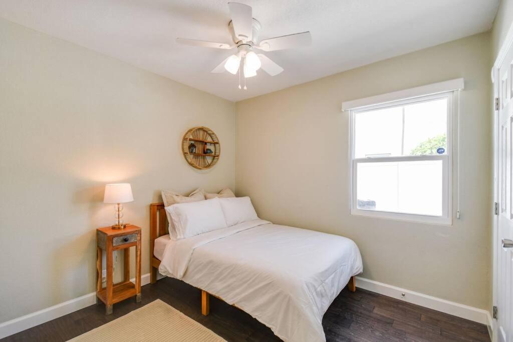 Luxury Home In The Heart Of South Tampa & Pool! מראה חיצוני תמונה