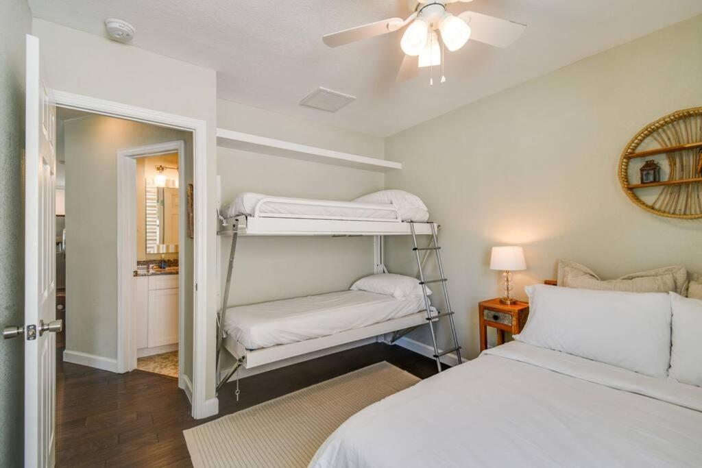Luxury Home In The Heart Of South Tampa & Pool! מראה חיצוני תמונה